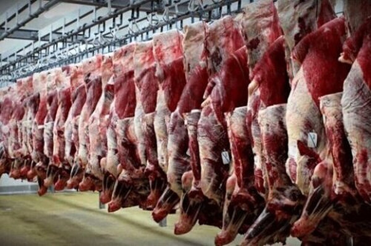 گرانی گوشت در ترکیه و استفاده از گوشت الاغ